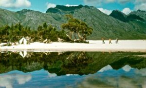 Milne: Lake Pedder should be Flagship Project of Ecosystem Restoration 5