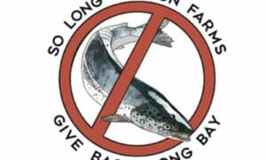 Call for Release of Long Bay Water Report by EPA 17