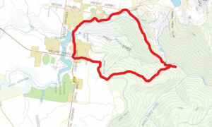 Some Ideas for the Waratah Community Board 9