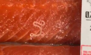 On Salmon Industry Plan ... 5