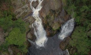 Status of Tasmania’s State of the Environment Reporting 11