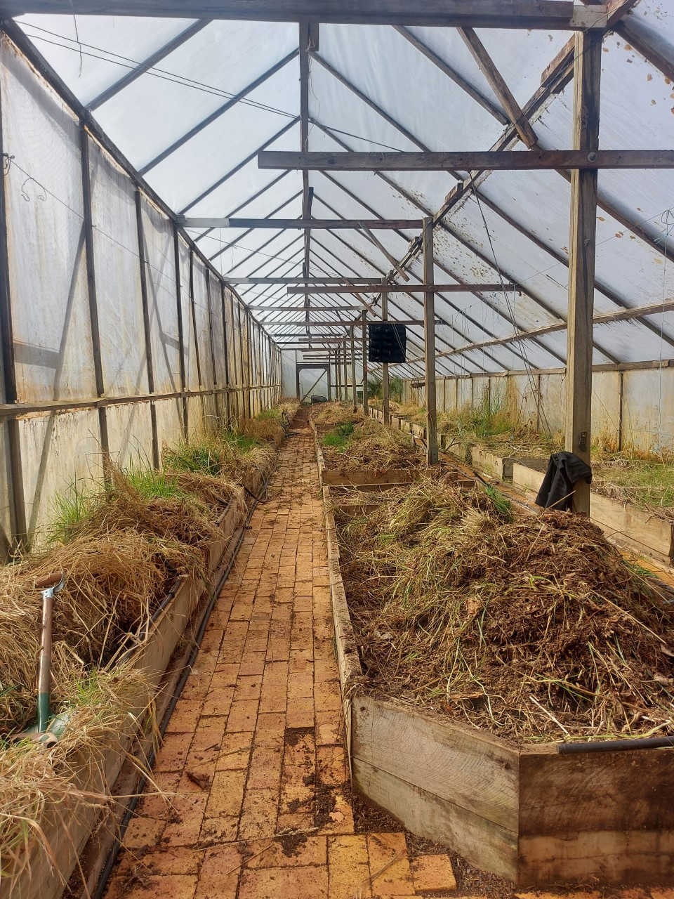 A New Community Nursery for Waratah 8 A New Community Nursery for Waratah 8