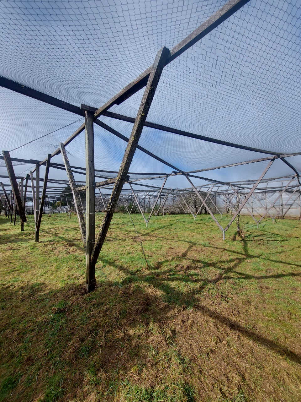 A New Community Nursery for Waratah 7 A New Community Nursery for Waratah 7