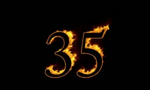 House of Assembly Will Return to 35 Seats at Next Election 8