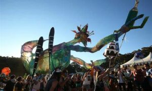 How Festivals Transform Lives, and Landscapes 5