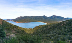 ‘Stealth Privatisation’ in National Parks Threatens Public Access to Nature’s Health Boost 19