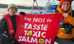 Direct Action Against Long Bay Salmon 22