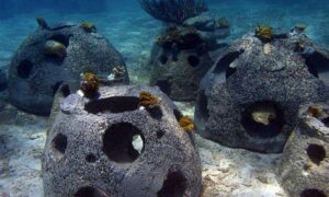 EPA Approves 2 Artificial Reefs in Southeast 16