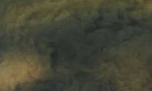 EPA Improves Fish Farm Monitoring 15