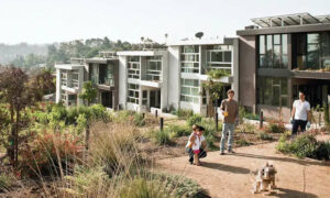 The Climate Change Bill and Real Estate 5