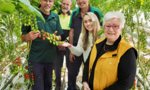 Devonport Food Festival Celebrations for October 5