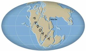 Pangaea Festival for Buckland in 2023 11