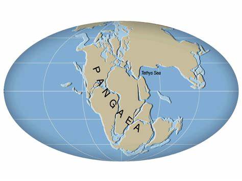 Pangaea Festival for Buckland in 2023 1