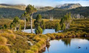 Make a Difference for Nature with a Bequest 20