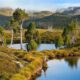 Make a Difference for Nature with a Bequest 21