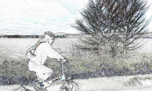 Greens 'E-Bike Capital' Plan 13