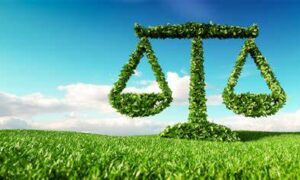 State of the Environment Report Set for June 2024 7