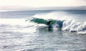 Surfers Urge Moratorium on Salmon 7