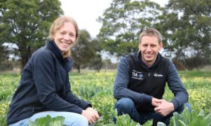 $6.4M Boost for Cool Climate Horticulture 17