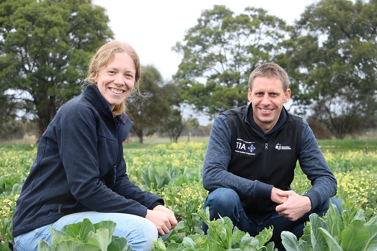 $6.4M Boost for Cool Climate Horticulture 1