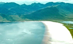 Restoring Nature: Big Ideas From Our Little Island 13