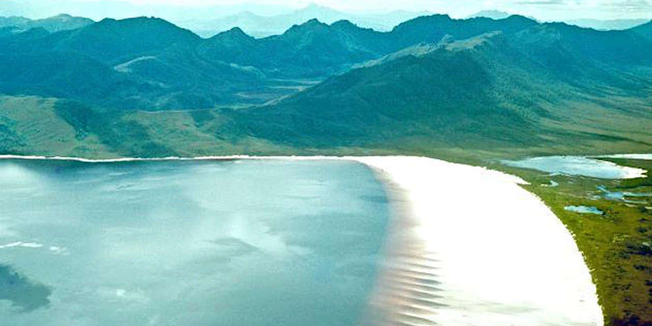 Restoring Nature: Big Ideas From Our Little Island 1