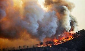 Greater Hobart Bushfire Resilience 9