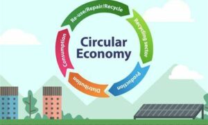 Lunch with Tony McCall - Circular Economy Opportunities 24
