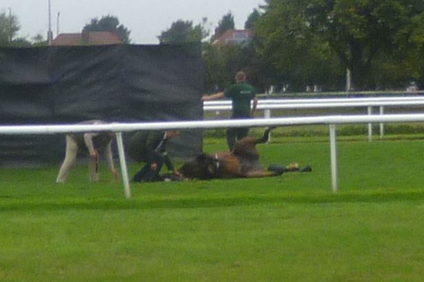 On Racing Industry Funding ... 3
