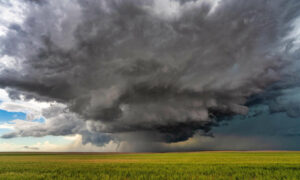Widespread Rain, Storms Expected 15