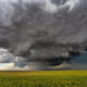 Widespread Rain, Storms Expected 16