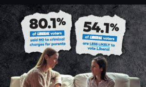 TAI: Deceptive Ad Demonstrates Need for Truth in Political Advertising 10