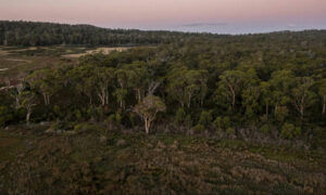 TLC Creates New Reserve at Sloping Main 16