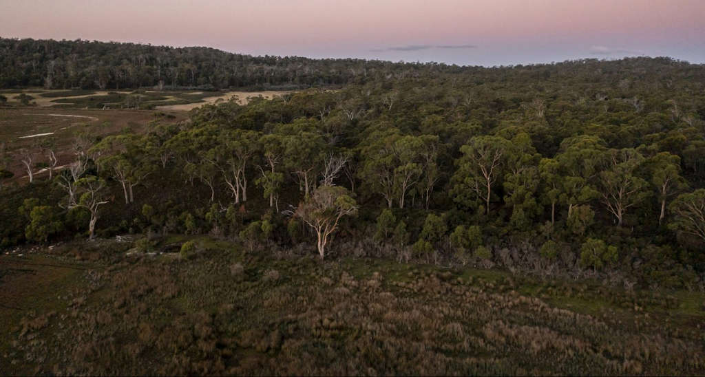 TLC Creates New Reserve at Sloping Main 3