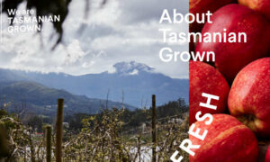 Tasmanian Grown Takes On the World 28
