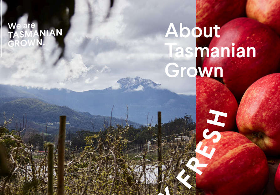Tasmanian Grown Takes On the World 1