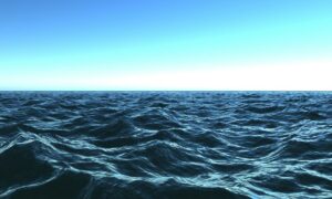 Experts Convene for Tas Ocean Summit 2022 5