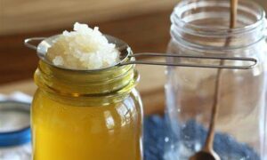 Partnership to Deliver Fermentation Course Pilot 14