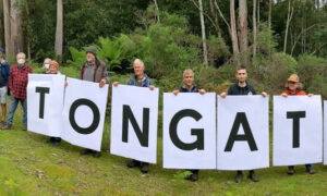 Mt Tongatabu Logging Injunction Upheld 14
