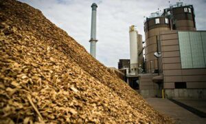 Biomass Burning Ruled Out of Energy Mix 15