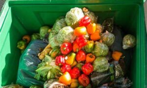 Campaign to Reduce Consumer Food Waste 18