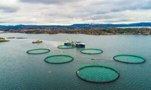 Community Briefing Sessions on Salmon Farming Expansion 20