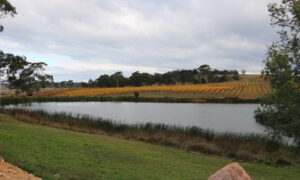 Grape Growers Unite to Share Water Wisdom 19