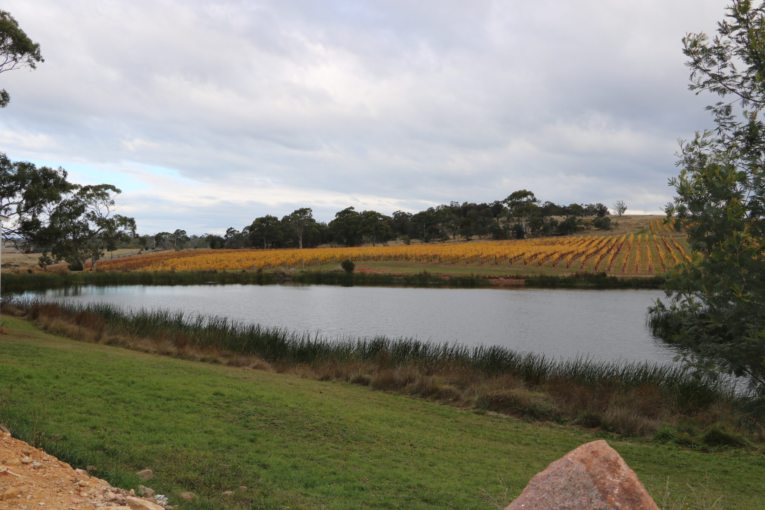 Grape Growers Unite to Share Water Wisdom 1