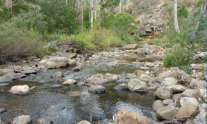 EPA Releases Report on Plenty River Health Monitoring 21