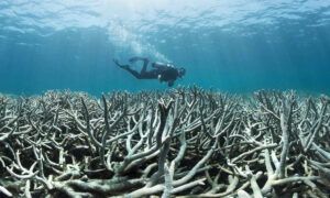 New Books Clarify What’s at Stake if we Fail to Mitigate Climate Change 23