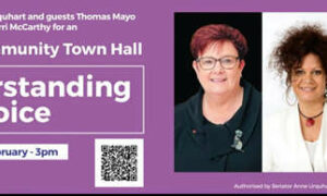Online 'Town Hall' - Understanding the Voice to Parliament 16