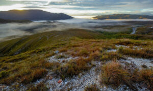 BBF: Whaleback Ridge Should Remain Protected 7