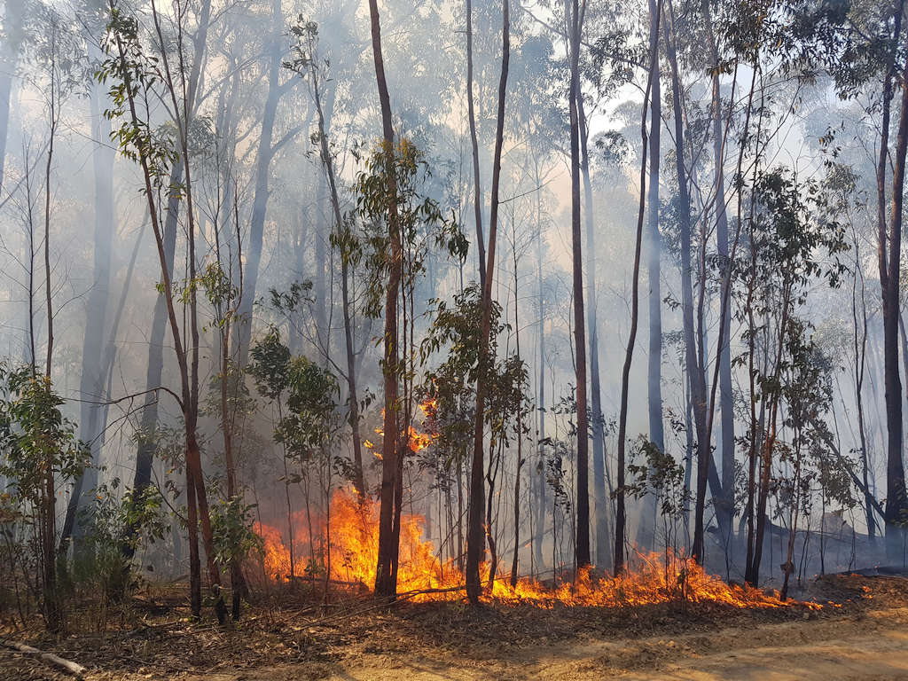 Input Needed to Improve Bushfire Maps in Huon Valley 1