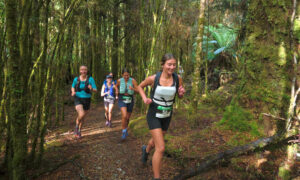 takayna Trail Run this Weekend 11